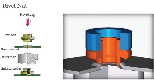 Figure 6 Flanged Rivet Nut