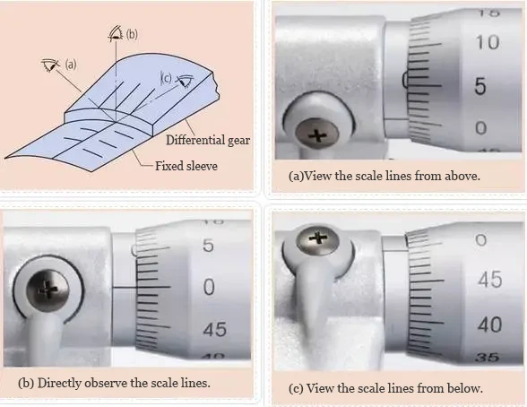 View the scale lines from all angles.