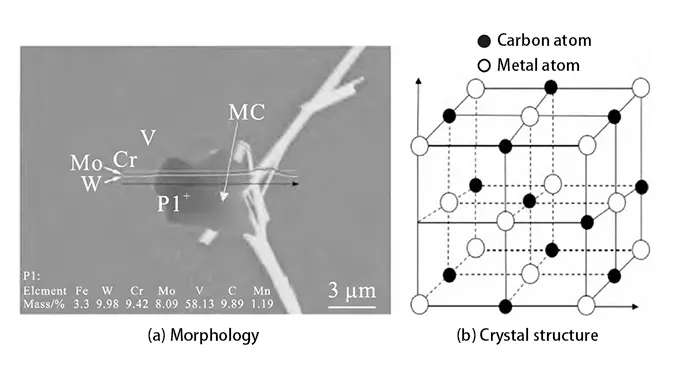 Figure 1 MC Morphology and MC Crystal Structure