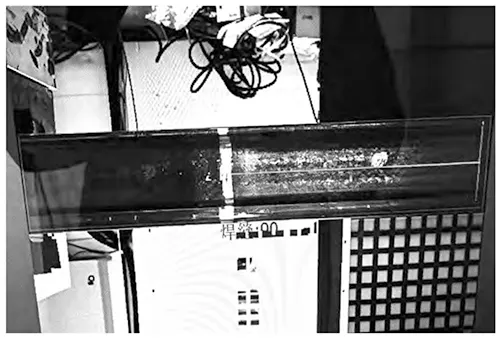 Figure 7 Image captured by a 2D area scan camera